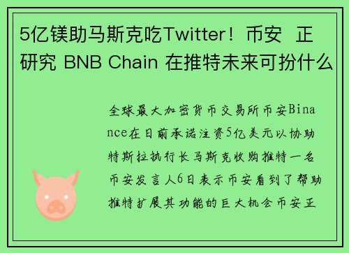 5亿镁助马斯克吃Twitter！币安  正研究 BNB Chain 在推特未来可扮什么角色